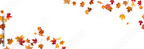 PNG Falling leaves, autumn foliage on transparent background, beautiful background Overlay orange and gold leaves. Vector maple leaf, png, flying foliage from tree.
