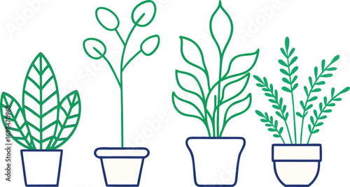Set Of Four Potted Houseplants Vector Illustration Simple Outline Art