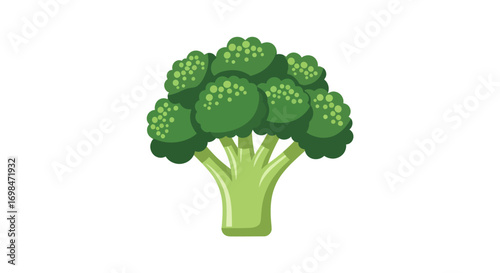 Fresh Green Broccoli Vegetable Cartoon Illustration.
