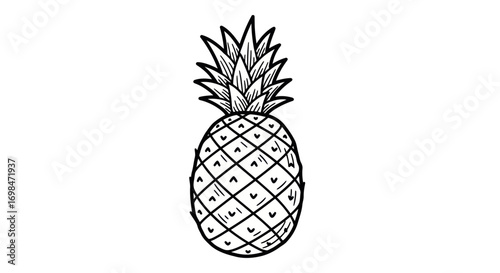 Vintage Line Art Drawing of a Pineapple.