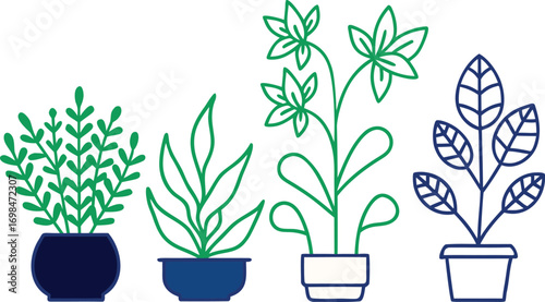 Set of four potted plants decorative illustration with clean lines