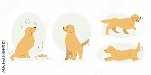 Cute golden retriever dog poses and activities in flat design style