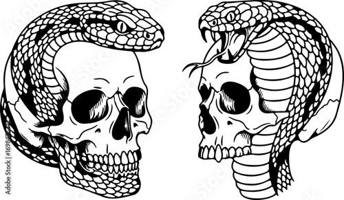 Snake and Skull Illustration
