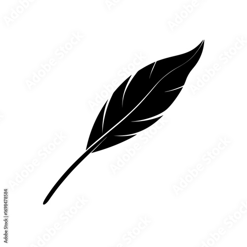 Simple black and white feather graphic art on transparent background silhouette