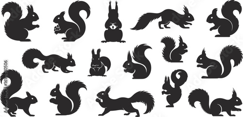 Squirrel silhouette collection, vector squirrel icons, black squirrel clipart, forest animal silhouette, cute squirrel poses, wildlife graphic design elements