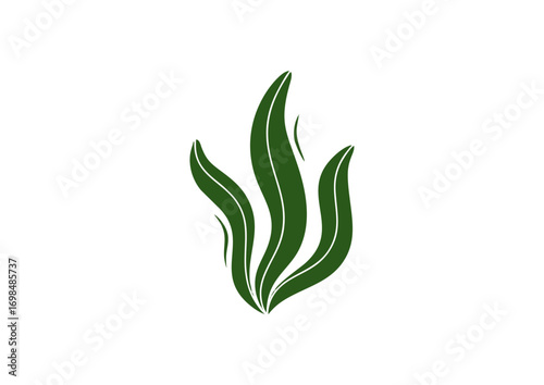 icon of seaweed leaf