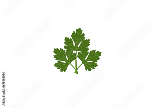 icon of parsley leaves