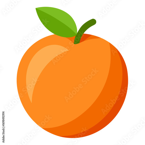 vector illustration of an orange