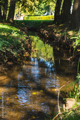 a small regulated stream flowing through the park