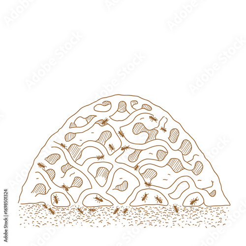 Ant city in section: outline illustration with tunnels and insects. Vector image for education and design