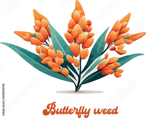 Butterfly weed logo vector white background .