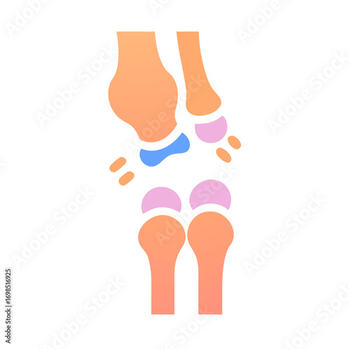 Colorful graphic illustration of human knee joint anatomy