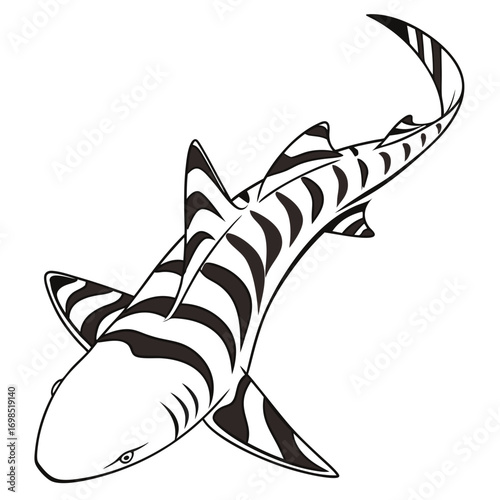 Stylized black and white tiger shark illustration with bold stripes
