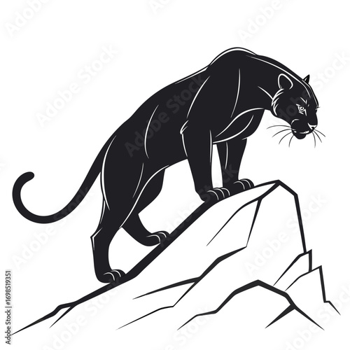 Black panther standing on a rocky outcrop in silhouette
