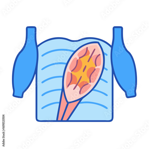 Stylized cross section image of a human thorax anatomy