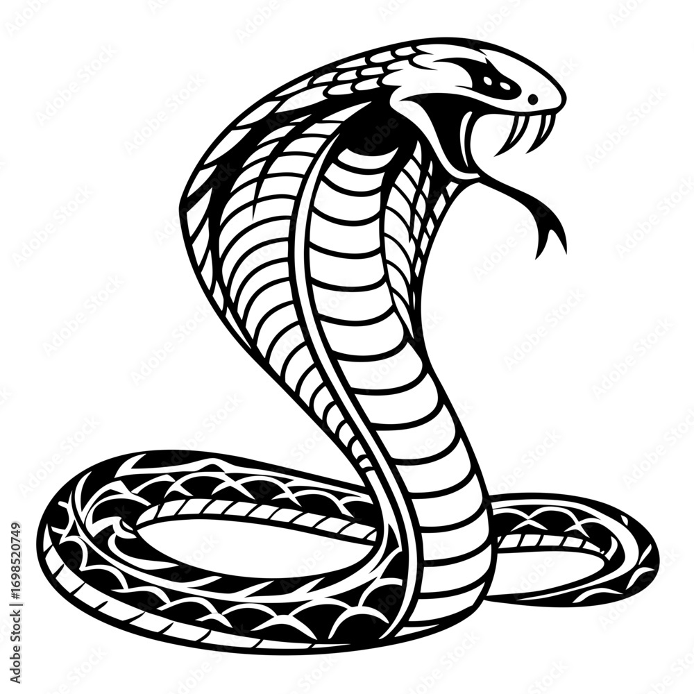 Fototapeta premium Stylized black and white cobra snake illustration