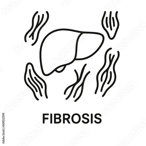 Line icon of human liver with fibrotic tissue representing fibrosis disease