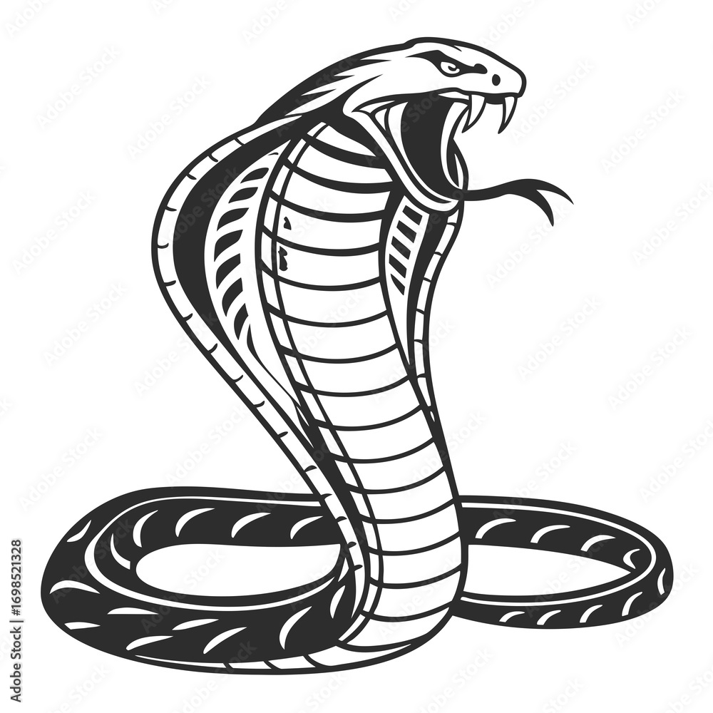 Fototapeta premium Stylized cobra snake illustration with open mouth and fangs