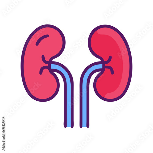 Bright kidneys graphic illustration on black background with outline