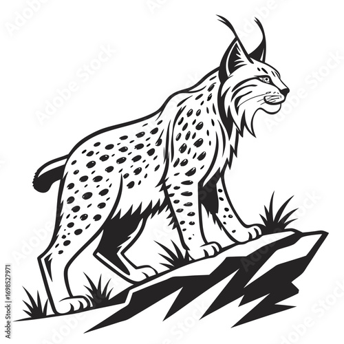 Black and white illustration of a lynx standing on a rock