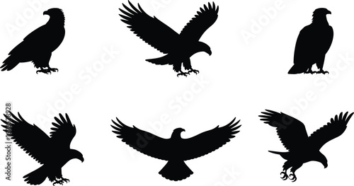  Eagle bird silhouettes in flying and perched poses, raptor predator vector illustration, wildlife design elements for tattoo, emblem, logo, decoration, and nature artwork