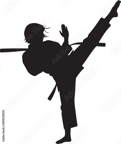 Black silhouette of a martial artist performing a high kick