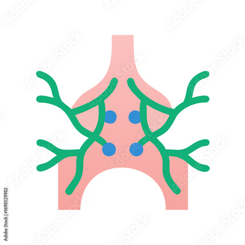 Simplified anatomical illustration depicting lymph nodes and lymphatic vessels