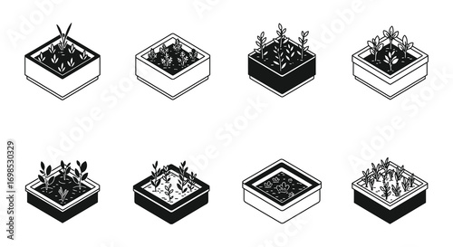 various stages of plant growth in square containers shown