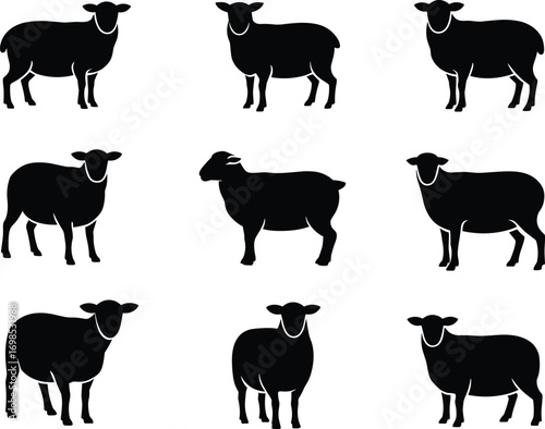  Set of sheep silhouette vector icons, farm animal illustrations, livestock design elements, agriculture symbols, wool production graphics, editable domestic sheep artwork