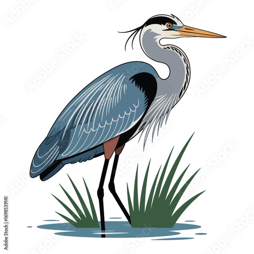 great blue heron