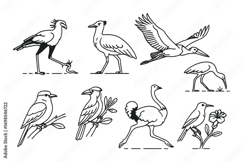 Naklejka premium Elegant bird sketches: diverse species and unique poses on display