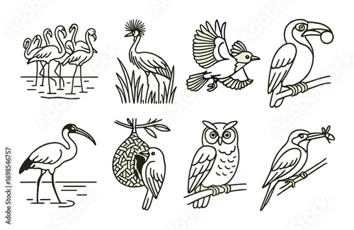 Illustrated bird collection: flamingo, toucan, owl, and more on gold background