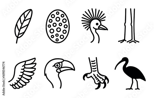 Bird silhouette icons featuring wings, beaks, and feet in minimalist black design