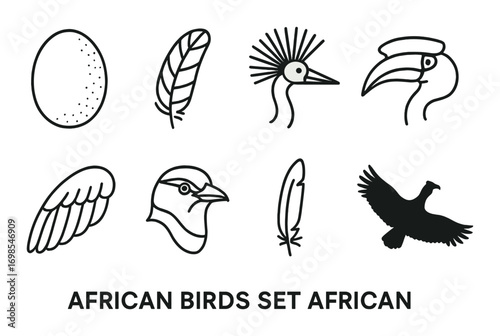 African bird icons set featuring unique bird shapes and feathers