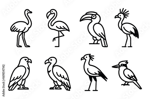 Silhouette collection of exotic bird outlines on black background
