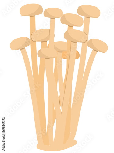 Enoki mushroom illustration