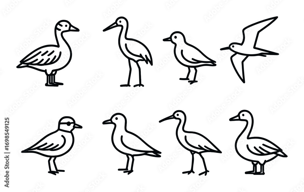 Obraz premium Silhouette collection of various bird species on dark background