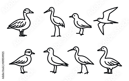 Silhouette collection of various bird species on dark background