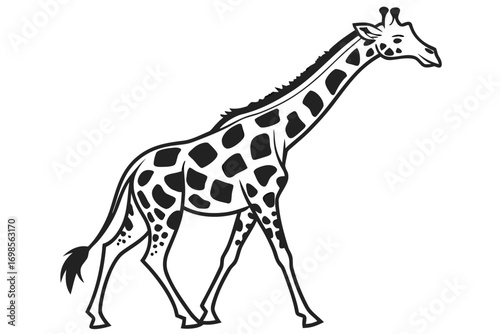 Stylized black and white giraffe illustration
