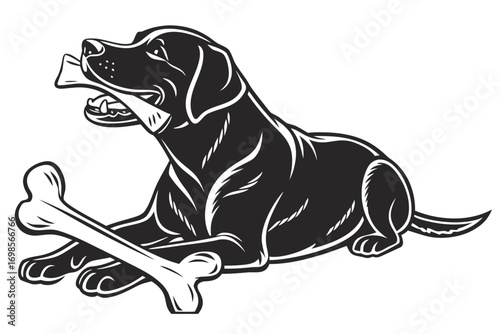 Black labrador retriever dog holding bone with two bones nearby