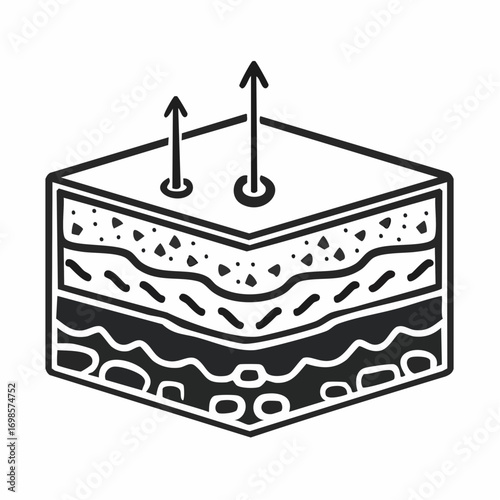 Cross Sectional View of Skin Layers with Upward Arrows Indicating Absorption or Permeation