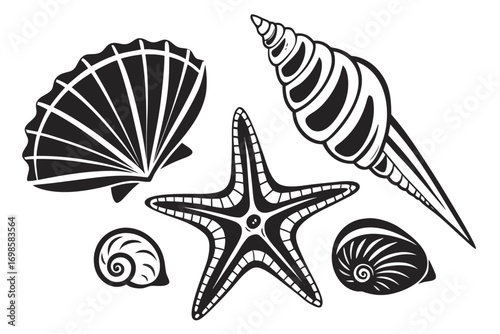 Collection of black and white seashells and starfish illustrations