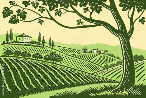 Vineyard landscape with rolling hills and a large tree