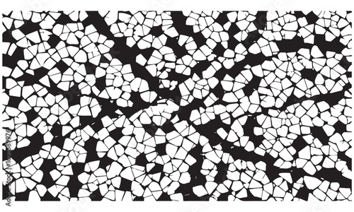 Abstract Black and White Pattern of Irregular Cracked Shapes