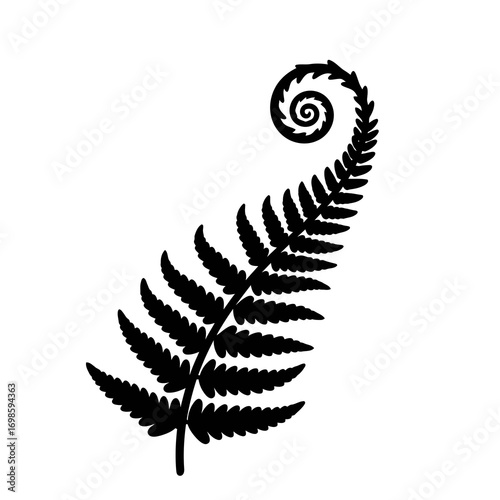 Black fern frond unfurling in a spiral silhouette isolated on white background