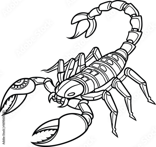 Black and white scorpion illustration arachnid insect