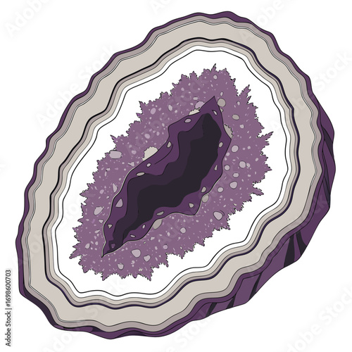 Amethyst Geode Slice with Purple Crystals mineral rock