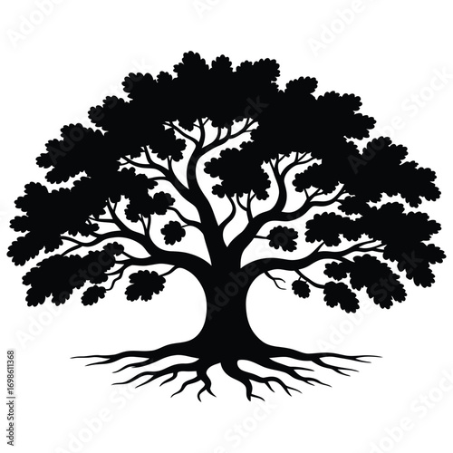 Majestic silhouette of an oak tree with spreading branches and visible roots