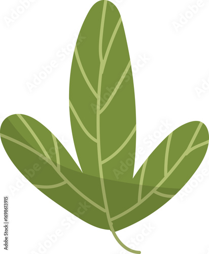 Stylized Green Leaf with Veins and Dark Base.