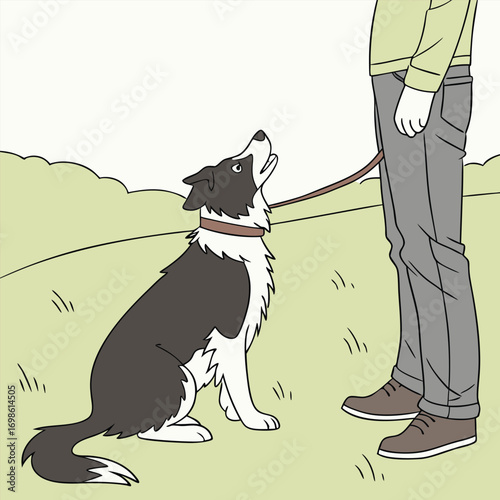 Dog on leash looking up at person's legs outdoors animal